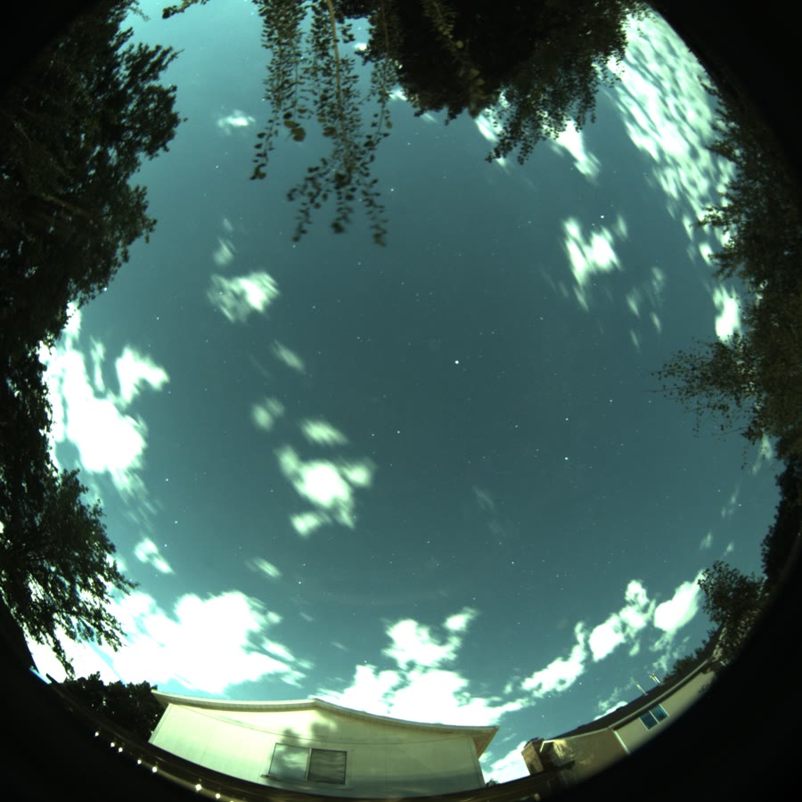 A real frame from an ARIS all-sky camera: stars and moonlit clouds drifting over the tree canopy